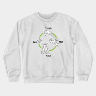 Life Cycle Of A Cicada Crewneck Sweatshirt